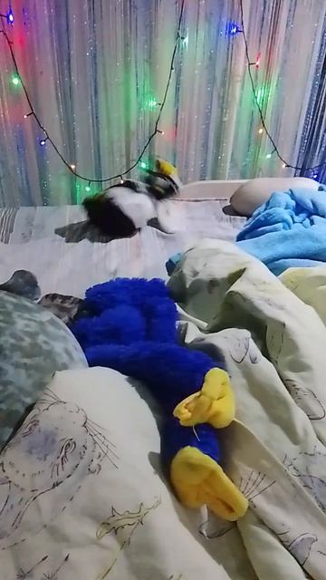 как я вижу энорда