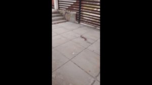 Блог моего дня в Зеленогорске!