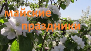 Наша Дача. Май 2026.