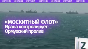 Иран использует «москитный флот» из катеров для контроля Ормузского пролива