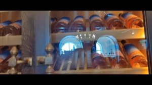 Гуляю с собаками/Едем в храм/Посетили винодельню