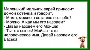 🤣Как_Володя_Подозревал_Жену_В_Измене!_Сборник_Новых_Смешных_Анекдотов!