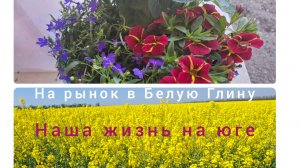 10-05-2026/ Съездили в Белую Глину на рынок/ Покупки/ Живём и работаем на Кубани/ Переезд на юг/