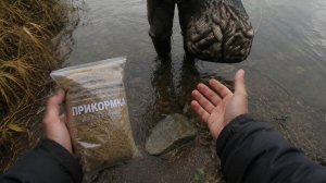Эффективная прикормка на карася