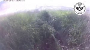 Братство защитников отечества