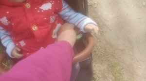 прогулка с реборном Энеем