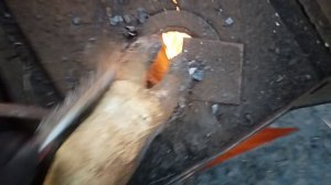 VID_20251115_161709.mp4