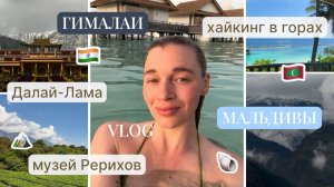 ВЛОГ: ИНДИЯ + МАЛЬДИВЫ // Гималаи, чайные плантации, трекинг Триунд, музей Рерихов