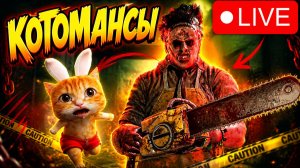 КОТОМАНСИМ ЗАВТРА ВЫХОДНОЙ! 🐾 Dead by Daylight 🔪