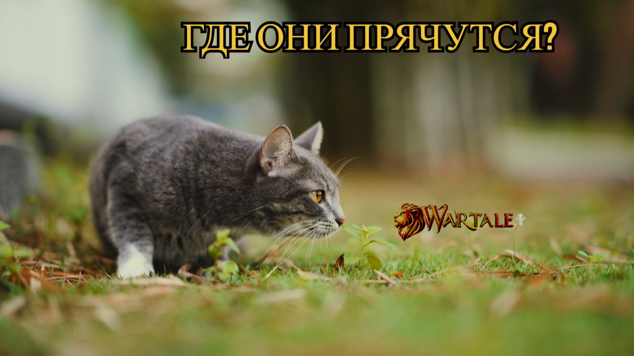 Wartales: Достижение «Мягкий котенок, теплый котенок» — Где найти всех 9 кошек?