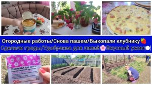 ✅МОТИВАЦИЯ НА ДЕЛА.🌿СНОВА ПАШЕМ🚜СДЕЛАЛИ ГРЯДЫ💥АЗОТ ДЛЯ ЛИЛИЙ🌺ВКУСНЫЙ БЫСТРЫЙ УЖИН🍽
