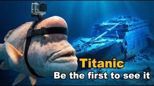 Я навел камеру GoPro на рыбу и увидел, что на самом деле происходит сегодня внутри «Титаника».