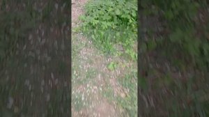 Это полный капец....