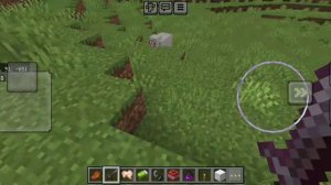 играю в minecraft я нахожусь 8 дней