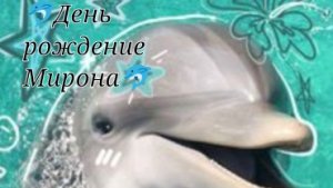 День рождение Мирона🐬