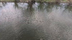 кастинговая сеть