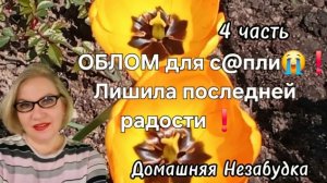 4 часть. ОБЛОМ для с@пли😭❗️Лишила последней радости❗️
