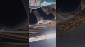 1000008308.mp4