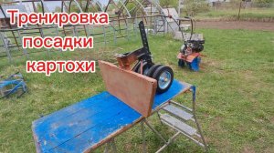 Посадка картошки: допиливаю способ
