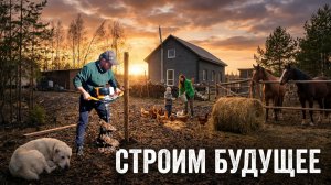 Свой дом, лес и полная свобода. Как мы строим наше будущее. Выбираем место под еще один дом