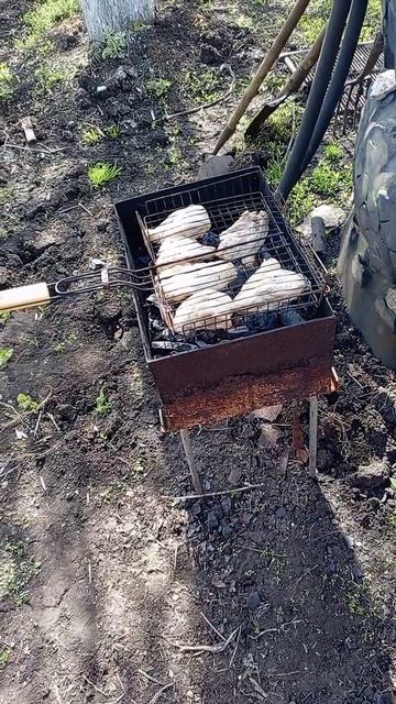 Верижниковы