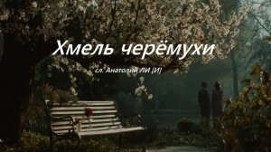 ХМЕЛЬ  ЧЕРЁМУХИ   авт.Анатолий ЛИ [И]