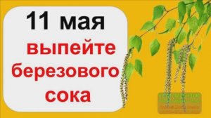 11 МАЯ.ДЕНЬ БЕРЁЗОВОГО СОКА!«БЕРЁЗОСОК».ПЕЙТЕ БЕРЁЗОВЫЙ СОК!