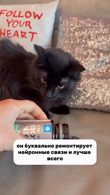 Препарат для мозга