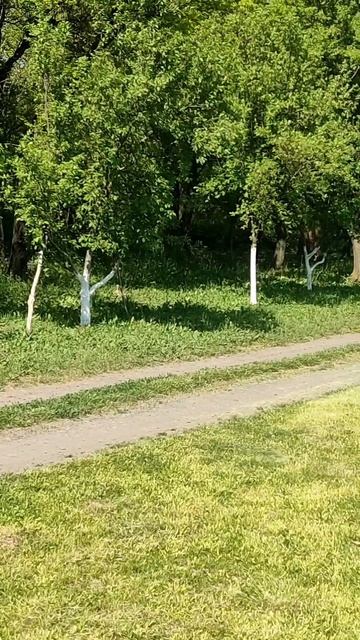 Просто так💖😇#новинка#жизнь#семья#работа#здоровье смотреть онлайн