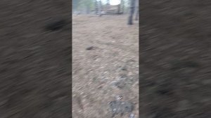 рыбалка на природе.