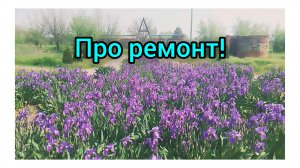 Цветущий Парк  и планы на стены:
семейный Микс! 10.05.2026