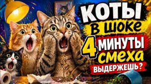 КОТЫ сошли с ума  -  4 минуты смеха ВЫДЕРЖЕШЬ?