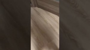 Барсики заболели.часть 3. выписка🥳😸😄🙂