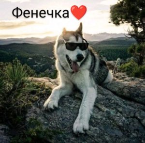Эфирчик🎀🎀🎀
