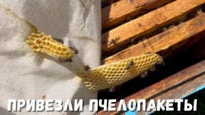 Весенние работы на пасеке | Заселение пчелопакетов!