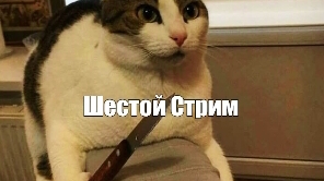 мой шестой Стрим