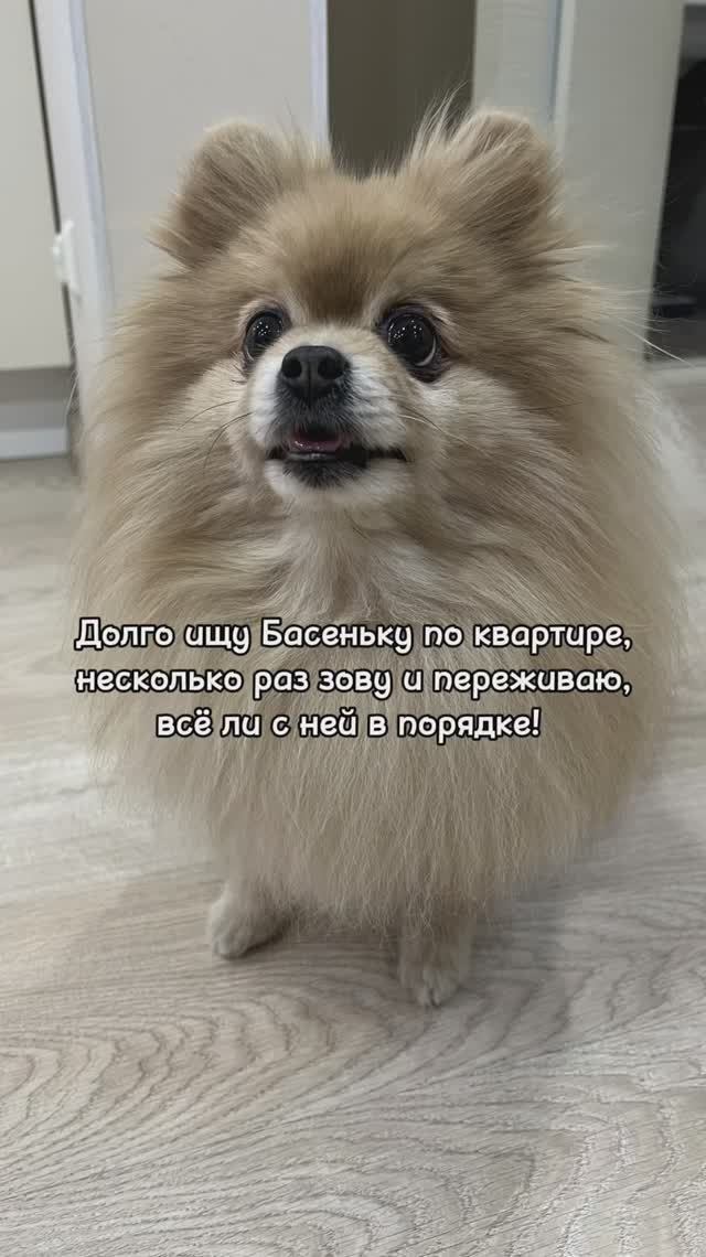 Бася всегда там, где и должна быть!
