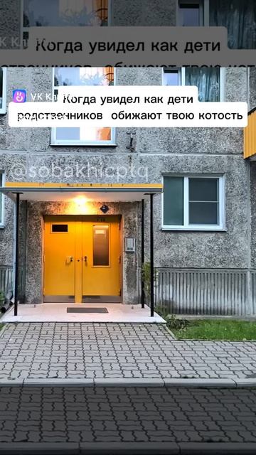 Когда увидел как дети родственников обсуждают твою котость