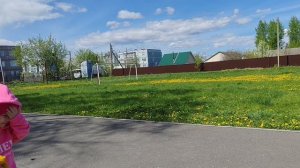 ищем жуков в деревне