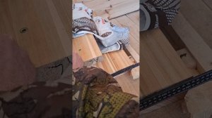 1000058013.mp4 (Собака наблюдает за устройством лестницы на 2-ой этаж в доме А-фрейм)