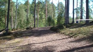 Змей Горыныч 2026 Пролог старт
