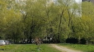 Подписчики, спасибо, что вы со мной🌷🌹 ✅