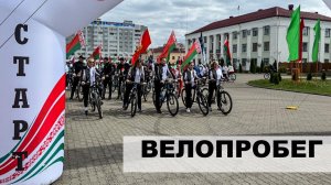 Наши символы