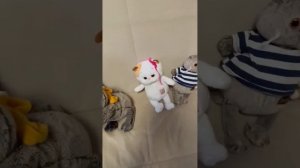 У Барсика и его команды новый друг?!🤨😱