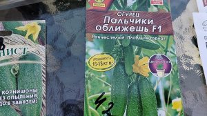 Посев огурцов 8 мая 2026.