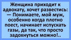 Женщина приходит к адвокату, чтобы развестись... | Анекдоты смешные | Юмор
