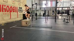WSC комплекс 1 Scailet Шенгюл Анжелика