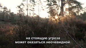 Праздник со слезами О какой угрозе молчат СМИ