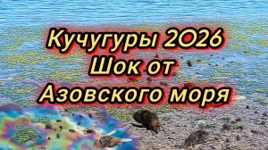 #КУЧУГУРЫ. БОЛЬШОЙ ОБЛОМ. ВОДОРОСЛИ. МУХИ. И МНОГО ЕЩЁ  ЧЕГО 10-05-2026