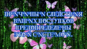 Причины и следствия ваших поступков предопределены этой матричной системой. Лекция ШАМАНА РАХУ.